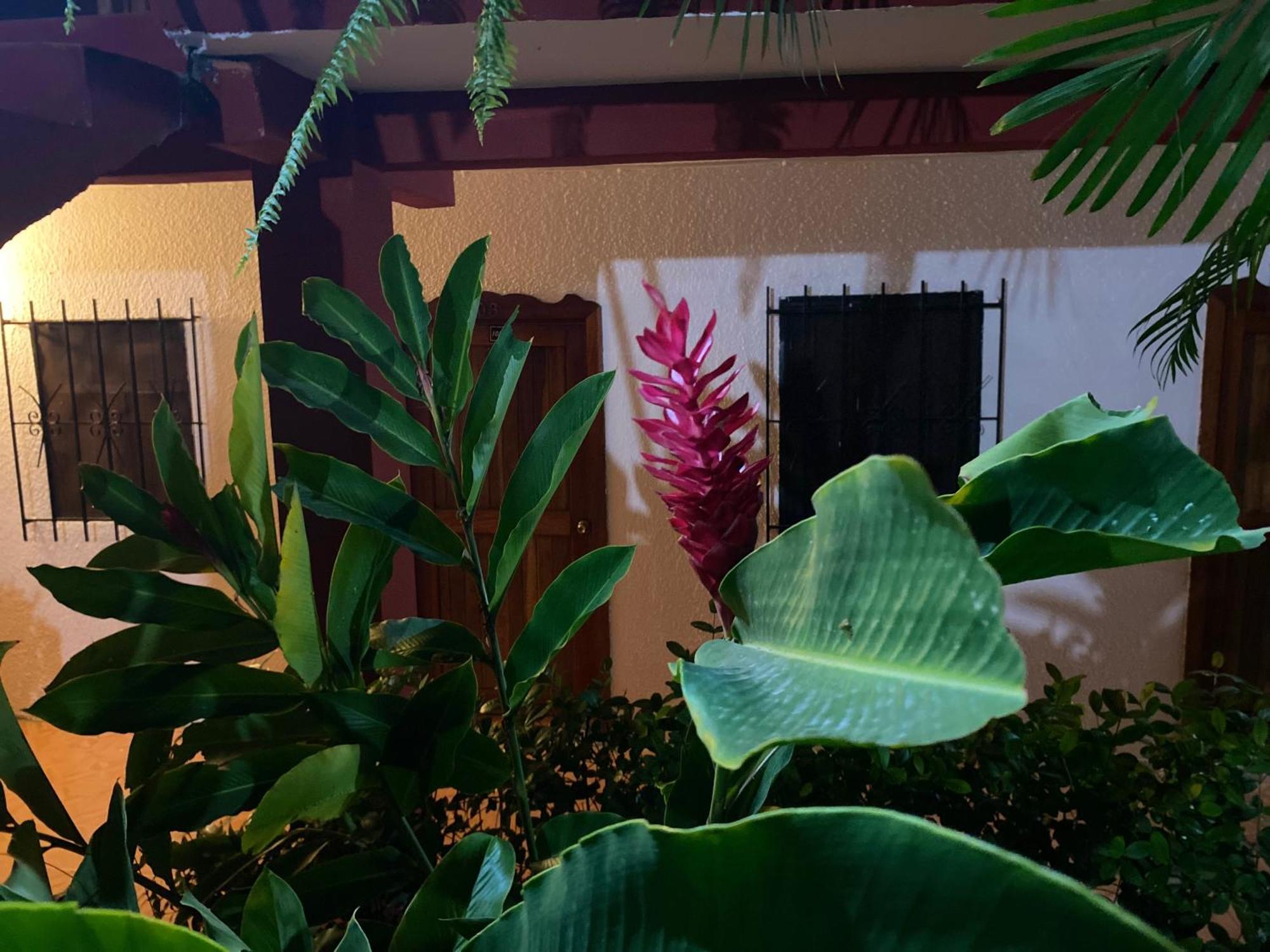 Hotel Posada La Canada パレンケ エクステリア 写真
